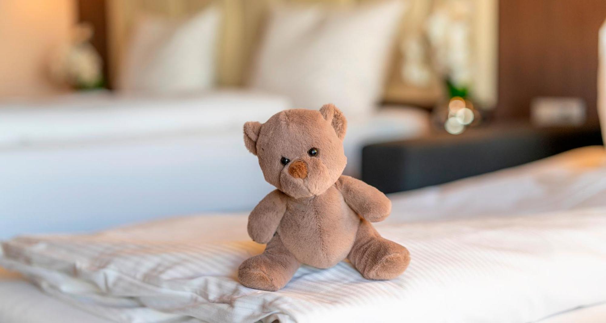 Plaza Hotel Foehr Am Bodensee FDH Стая снимка
